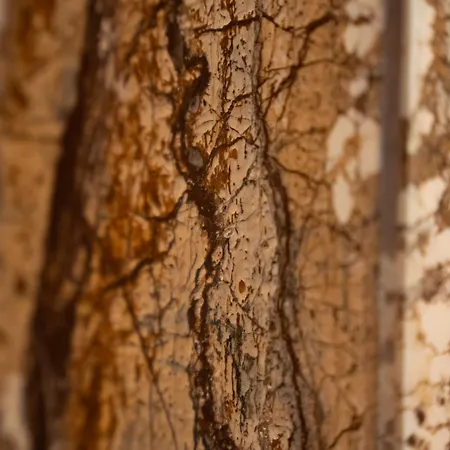 Essenza Boutique 公寓 *