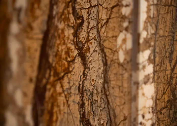 Essenza Boutique Apartmán *